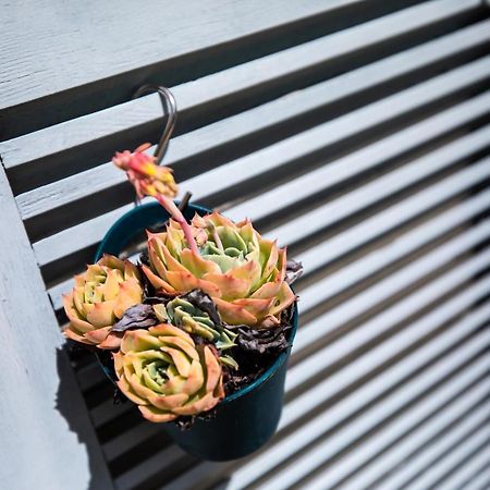 L' Evea Garden Le Relecq-Kerhuon Екстериор снимка